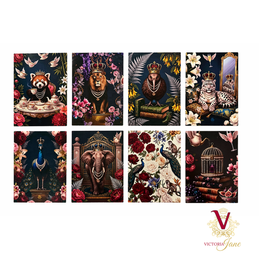 Chic Gift Card Set